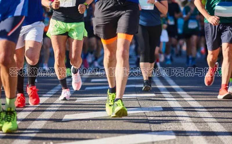 非凡官网登录入口百度智能门户蓉城激情燃烧：2023成都重大运动赛事亮点与挑战