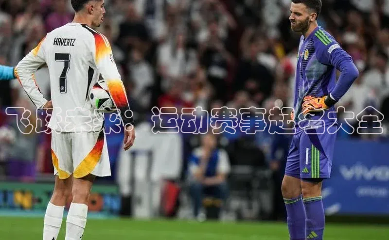 非凡体育官网百度识图飞跃未来：运动赛事起名大全