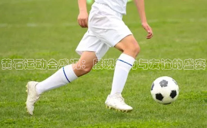 黄石运动会盛况：展现活力与友谊的盛宴