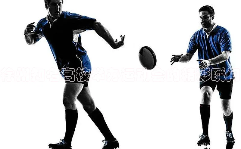 徐州知名高校举办运动会的精彩瞬间