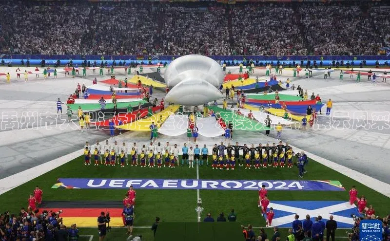 禹州市大型运动会盛况：凝聚力量，展示风采