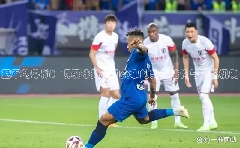 冠军的荣耀：顶级球类运动赛事的奖金结构与分配机制