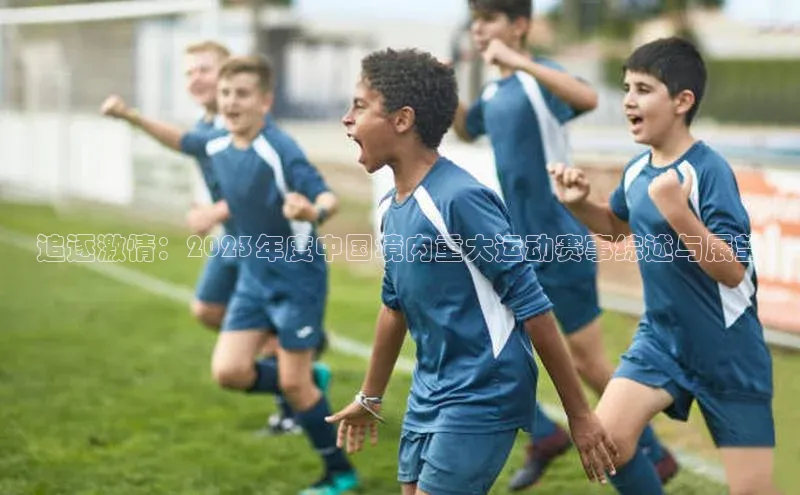 追逐激情：2023年度中国境内重大运动赛事综述与展望