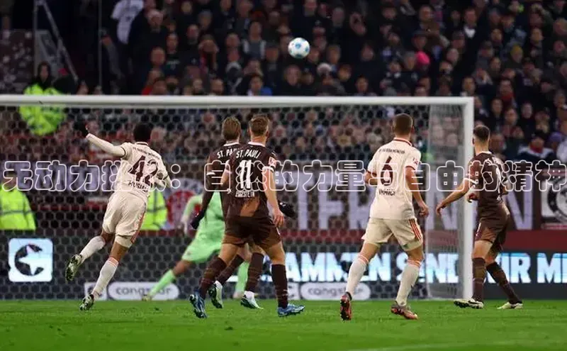 无动力挑战：自然的力量与自由的精神