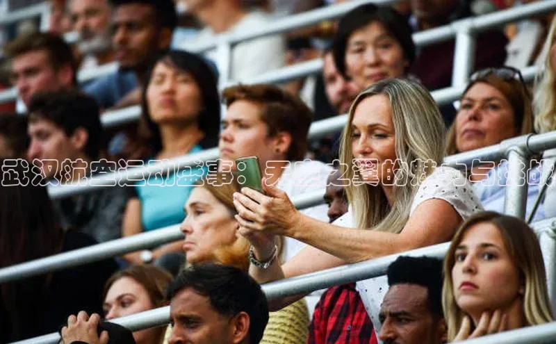 武汉航空运动盛事：天空之翼的魅力与挑战