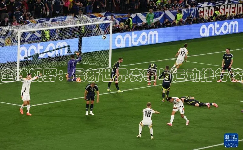 全球视野：最新世界赛事与运动排行榜