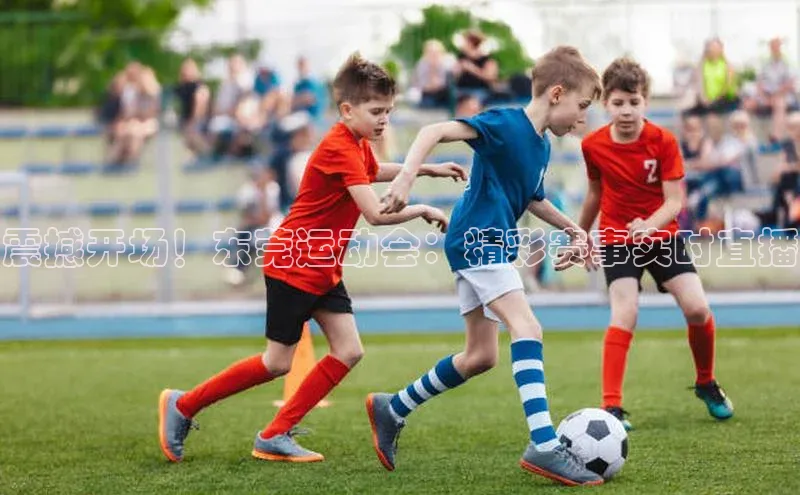 震撼开场！东莞运动会：精彩赛事实时直播