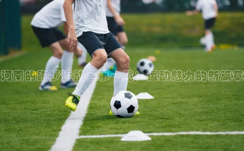 河南的跑步运动赛事一览：运动魅力的新篇章