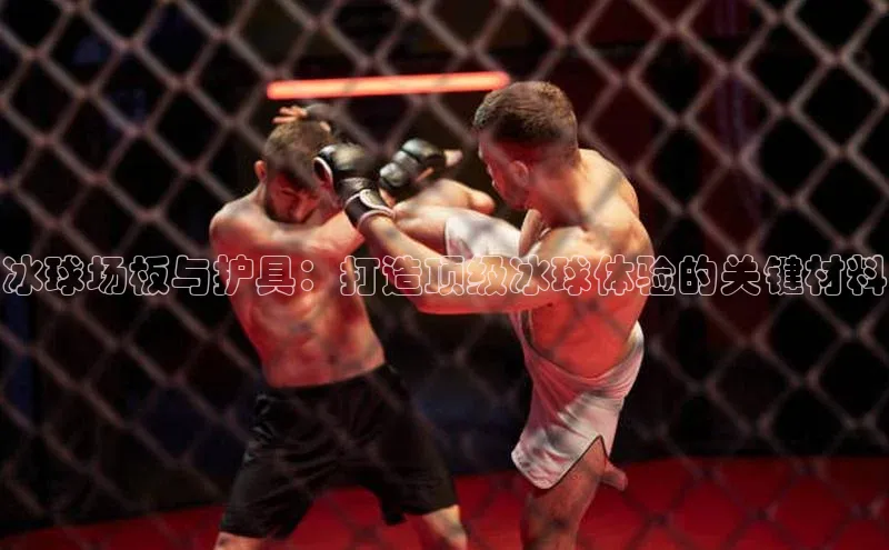 冰球场板与护具：打造顶级冰球体验的关键材料