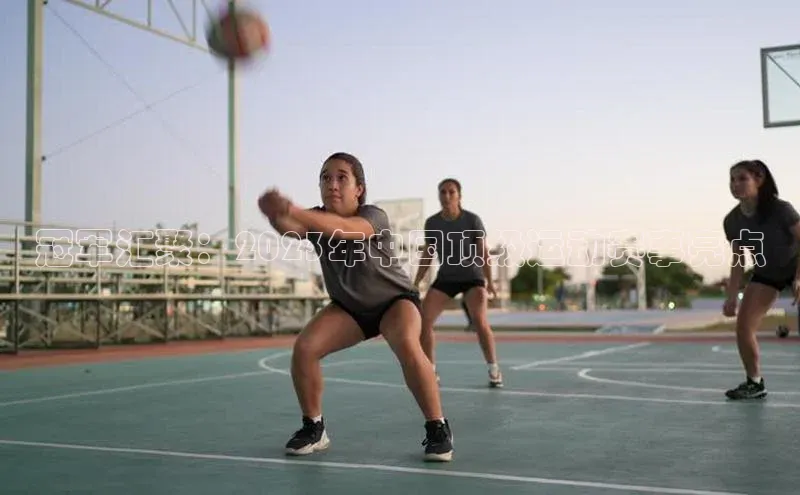 冠军汇聚：2023年中国顶级运动赛事亮点