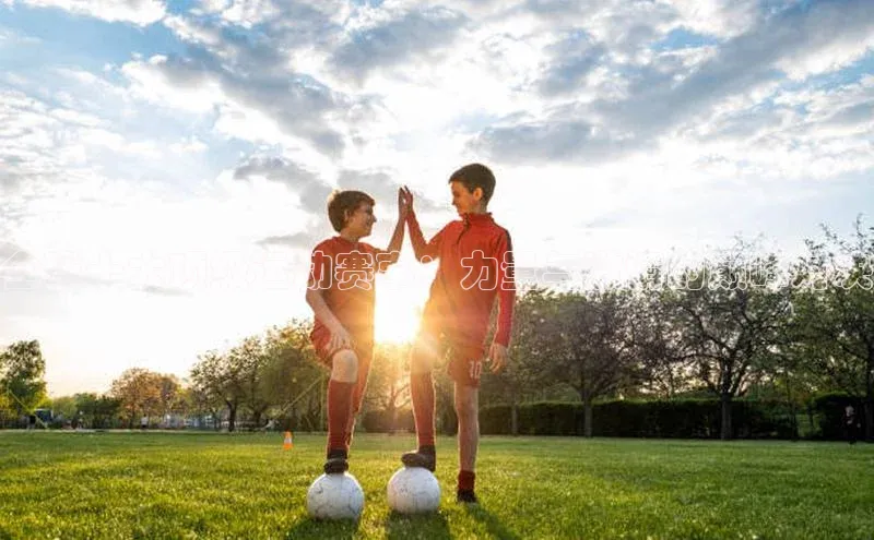 全球十大顶级运动赛事：力量与激情的巅峰对决