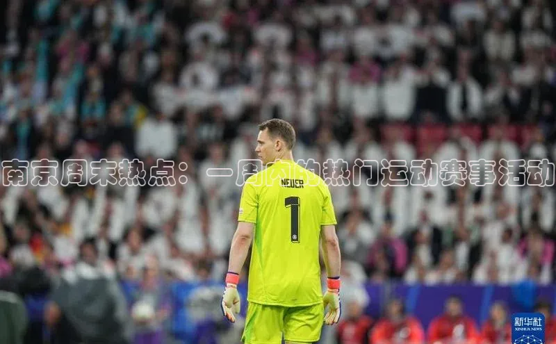 非凡体育平台登录入口