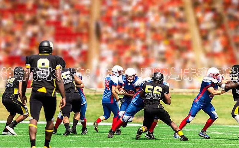 柏林跳水运动：历史、现况与未来展望